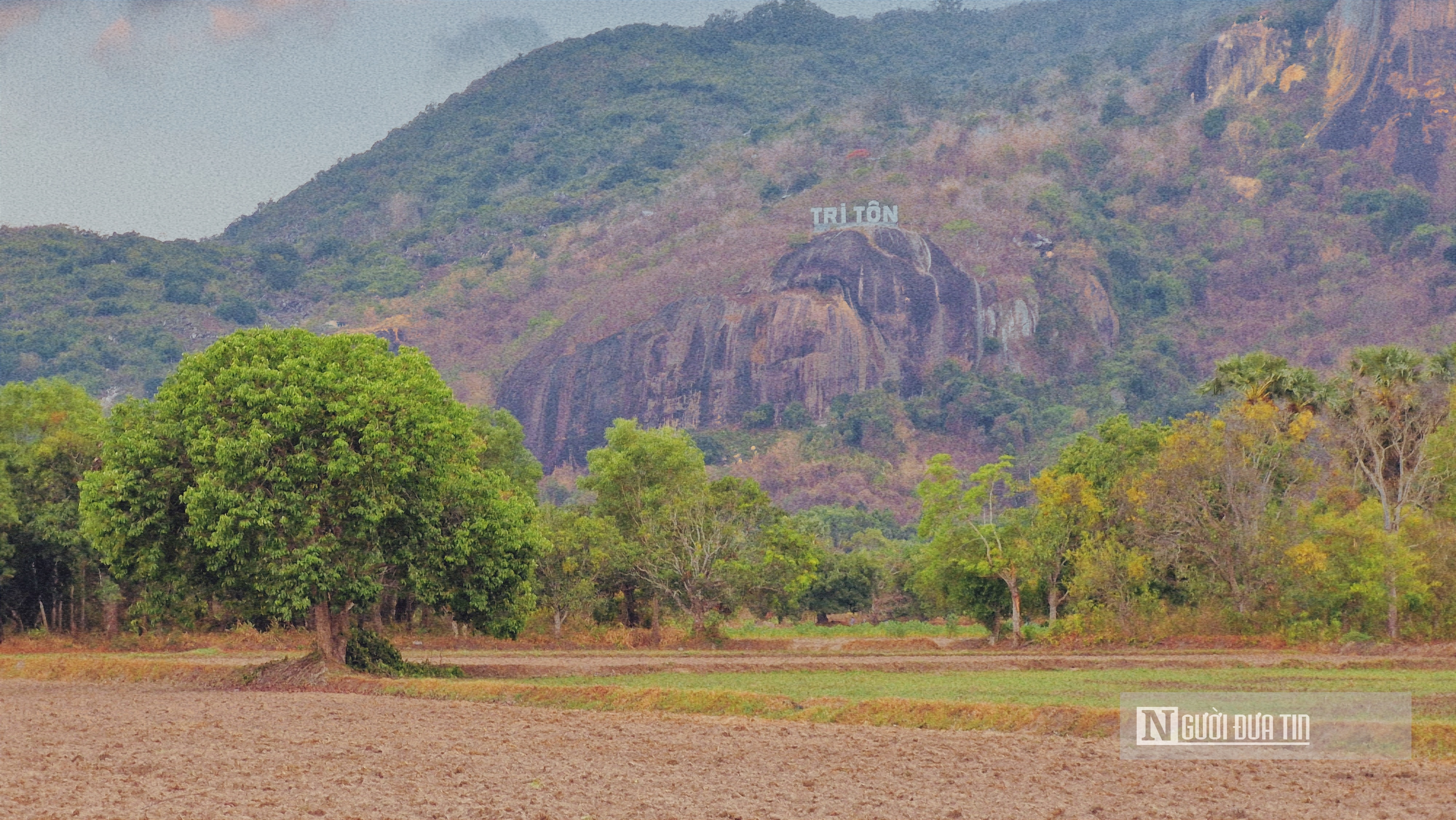 Dân sinh - Mùa trâm ở vùng Thất Sơn (Hình 2).