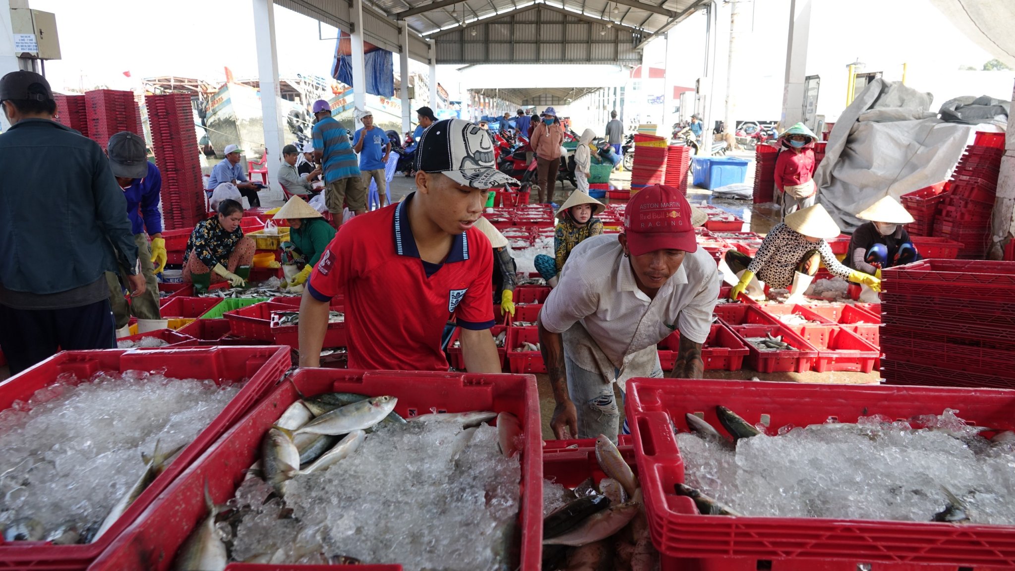 Dân sinh - Cà Mau, Kiên Giang chung sức gỡ thẻ vàng EC (Hình 4).