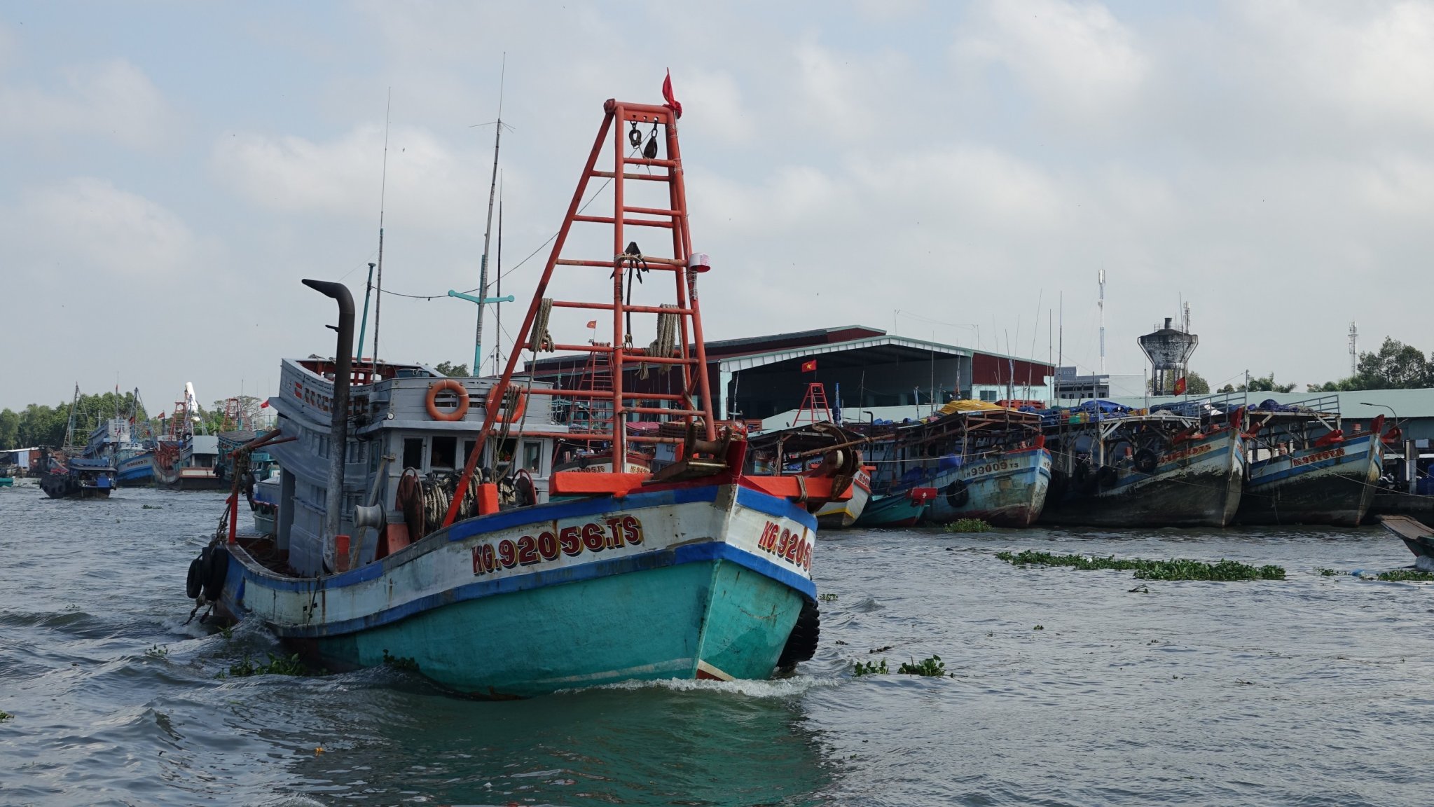 Dân sinh - Cà Mau, Kiên Giang chung sức gỡ thẻ vàng EC (Hình 3).