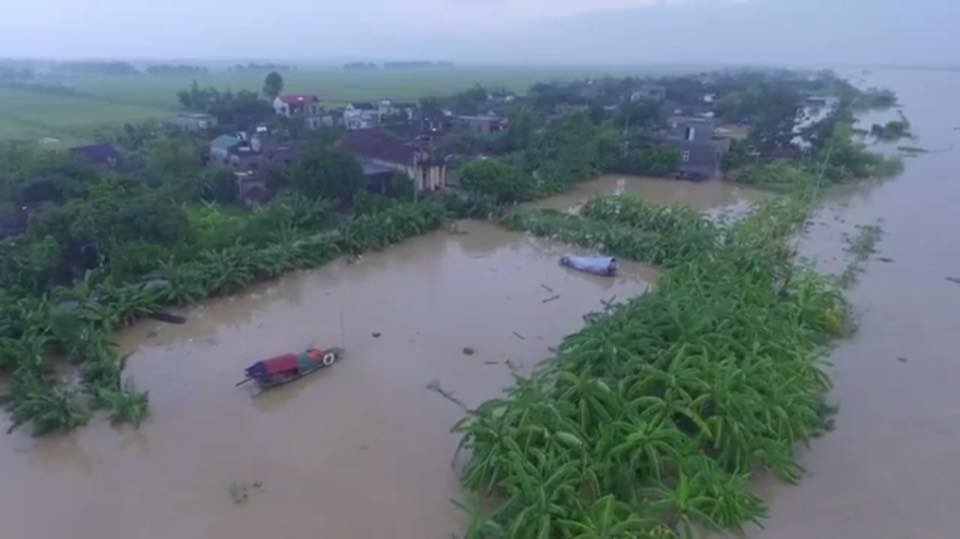 Tiêu dùng & Dư luận - Triều cường dâng cao, nhà máy Đạm Ninh Bình cô lập trong biển nước (Hình 7).