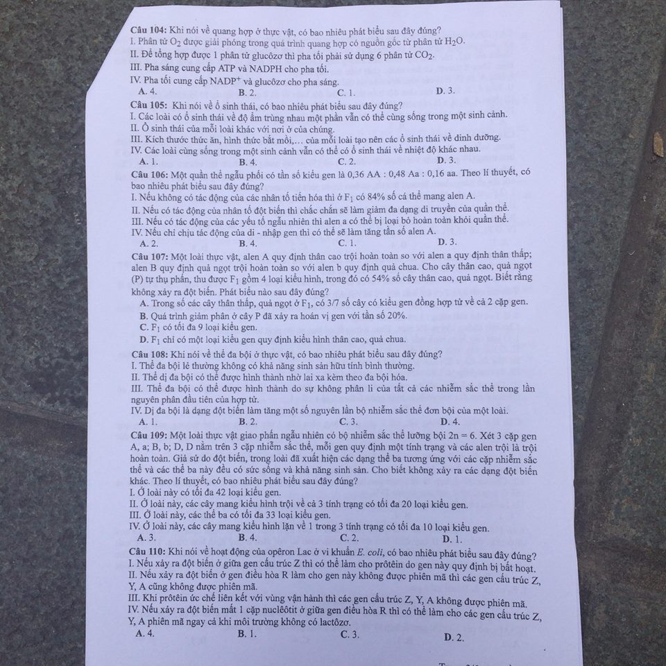 Đề thi, đáp án môn Sinh học mã đề 201 THPT Quốc gia 2018 chuẩn nhất (Hình 3).