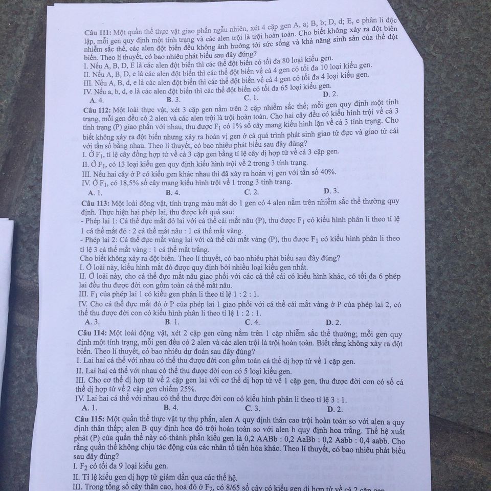 Đề thi, đáp án môn Sinh học mã đề 201 THPT Quốc gia 2018 chuẩn nhất (Hình 4).