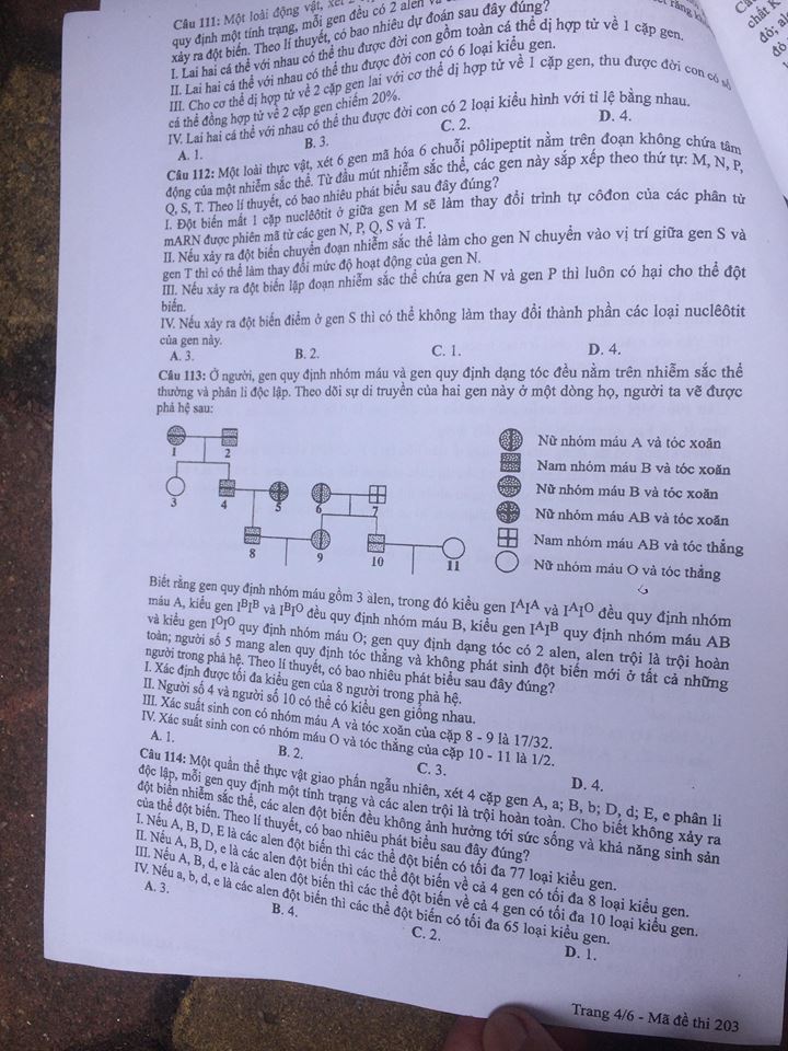 Đề thi, đáp án môn Sinh học mã đề 203 THPT Quốc gia 2018 chuẩn nhất (Hình 4).