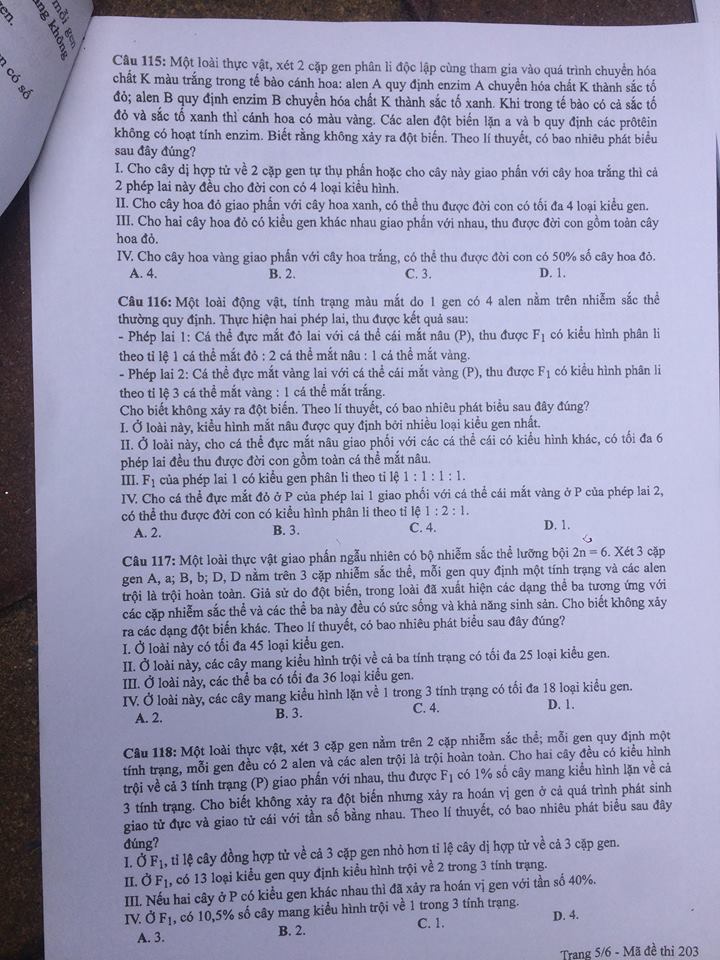 Đề thi, đáp án môn Sinh học mã đề 203 THPT Quốc gia 2018 chuẩn nhất (Hình 5).