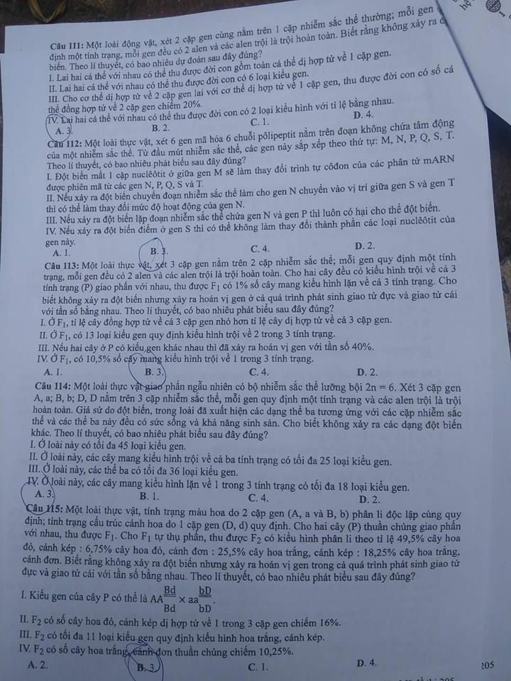 Đề thi, đáp án môn Sinh học mã đề 205 THPT Quốc gia 2018 chuẩn nhất (Hình 4).