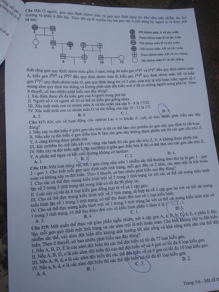 Đề thi, đáp án môn Sinh học mã đề 205 THPT Quốc gia 2018 chuẩn nhất (Hình 5).