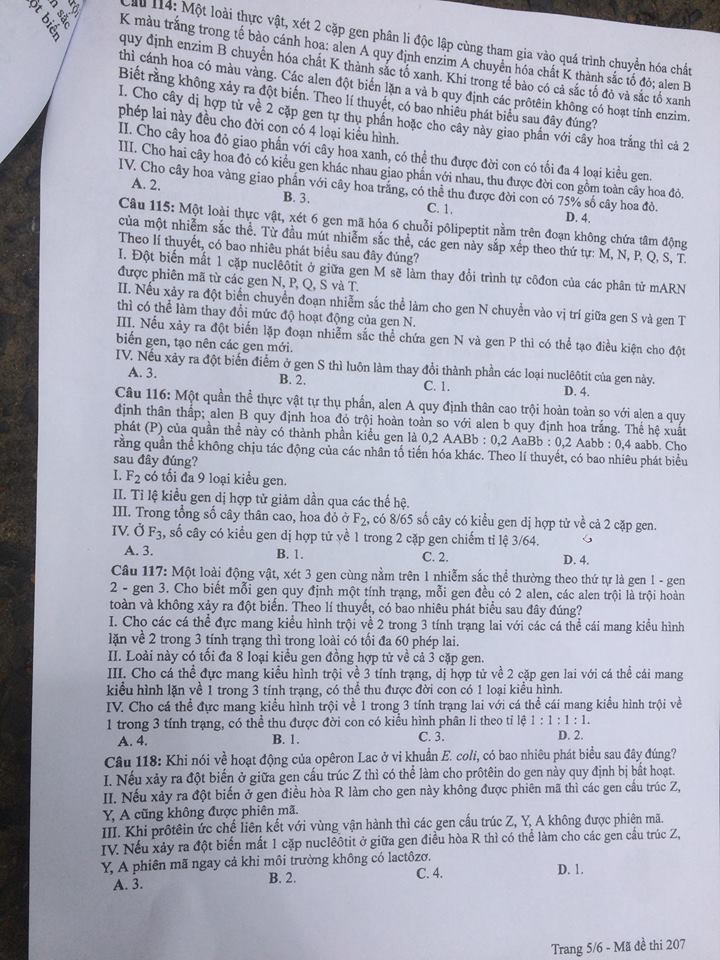 Đề thi, đáp án môn Sinh học mã đề 207 THPT Quốc gia 2018 chuẩn nhất (Hình 5).