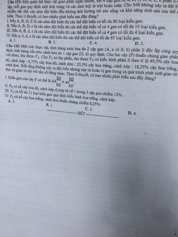 Đề thi, đáp án môn Sinh học mã đề 207 THPT Quốc gia 2018 chuẩn nhất (Hình 6).