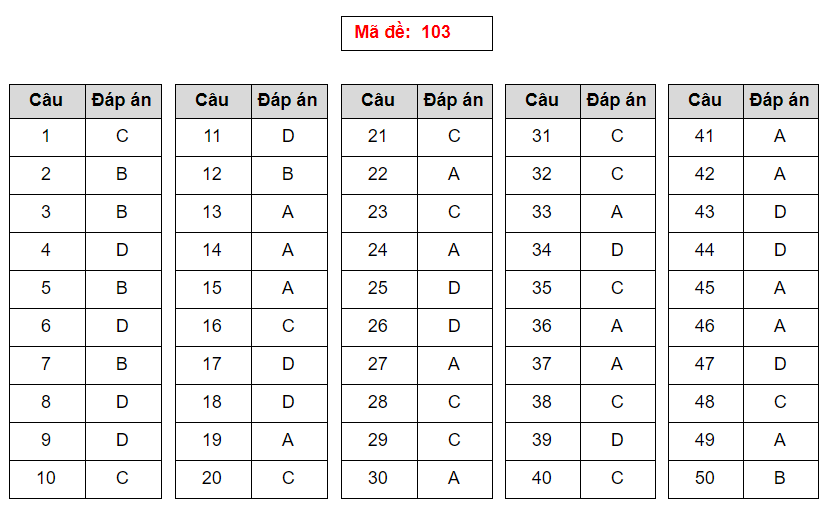 Giáo dục - Đáp án đề thi môn Toán thi THPT Quốc gia 2019 của bộ GD&ĐT mã đề 103 (Hình 6).