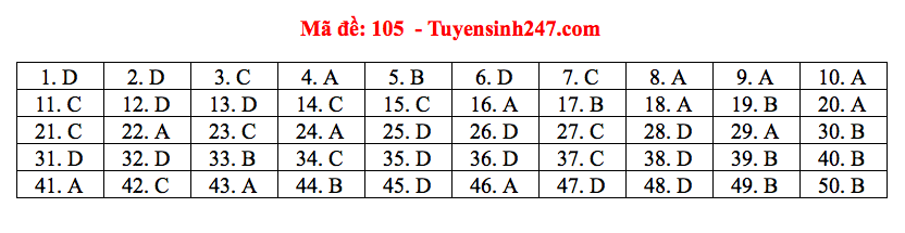 Giáo dục - Đáp án đề thi môn Toán thi THPT Quốc gia 2019 của bộ GD&ĐT mã đề 105 (Hình 7).