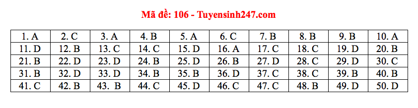 Giáo dục - Đáp án đề thi môn Toán thi THPT Quốc gia 2019 của bộ GD&ĐT mã đề 106 (Hình 6).