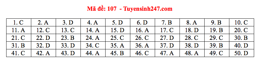 Giáo dục - Đáp án đề thi môn Toán thi THPT Quốc gia 2019 của bộ GD&ĐT mã đề 107 (Hình 6).