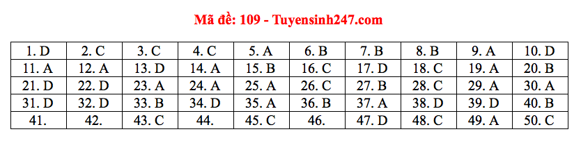 Giáo dục - Đáp án đề thi môn Toán thi THPT Quốc gia 2019 của bộ GD&ĐT mã đề 109 (Hình 7).