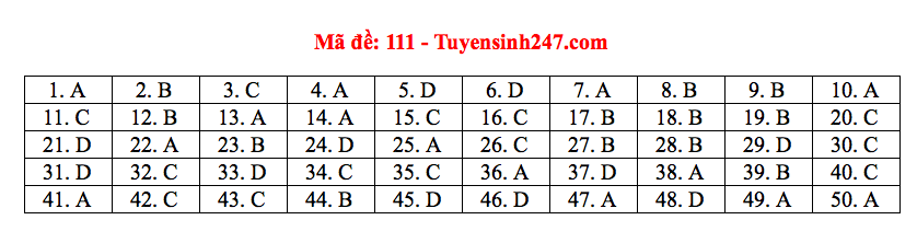 Giáo dục - Đáp án, đề thi môn Toán kỳ thi THPT Quốc gia 2019 chuẩn nhất mã đề 111 (Hình 7).