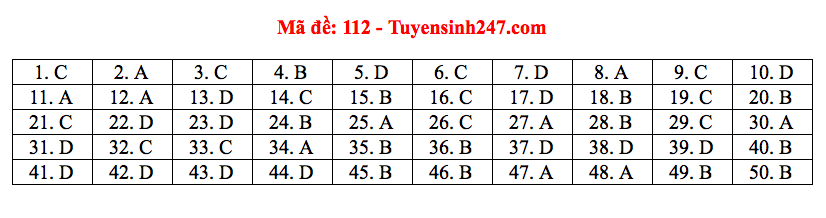 Giáo dục - Đáp án đề thi môn Toán thi THPT Quốc gia 2019 của bộ GD&ĐT mã đề 112 (Hình 7).