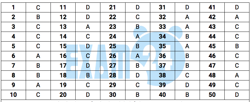 Giáo dục - Đáp án, đề thi môn Toán kỳ thi THPT Quốc gia 2019 chuẩn nhất mã đề 113 (Hình 7).