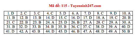 Giáo dục - Đáp án đề thi môn Toán thi THPT Quốc gia 2019 của bộ GD&ĐT mã đề 115 (Hình 6).