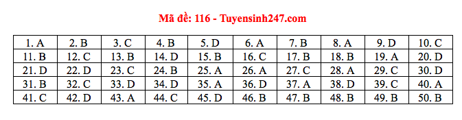 Giáo dục - Đáp án đề thi môn Toán thi THPT Quốc gia 2019 của bộ GD&ĐT mã đề 116 (Hình 6).