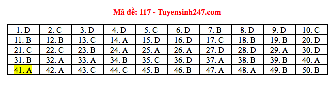 Giáo dục - Đáp án đề thi môn Toán thi THPT Quốc gia 2019 của bộ GD&ĐT mã đề 117 (Hình 6).