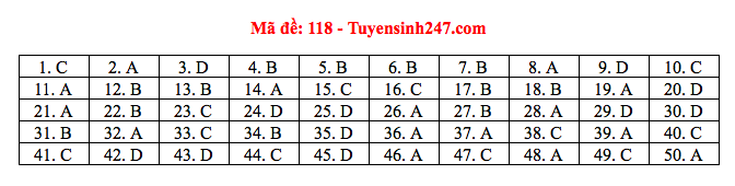 Giáo dục - Đáp án, đề thi môn Toán kỳ thi THPT Quốc gia 2019 chuẩn nhất mã đề 118 (Hình 6).