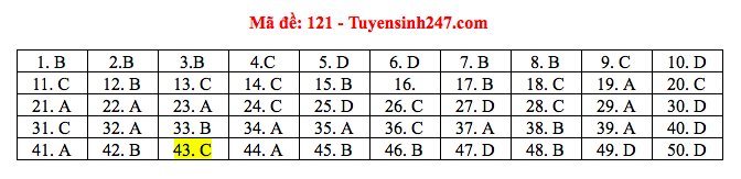 Giáo dục - Đáp án, đề thi môn Toán thi THPT Quốc gia 2019 của bộ GD&ĐT mã đề 121 (Hình 5).