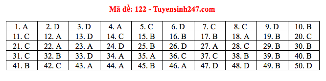 Giáo dục - Đáp án đề thi môn Toán thi THPT Quốc gia 2019 của bộ GD&ĐT mã đề 122 (Hình 6).