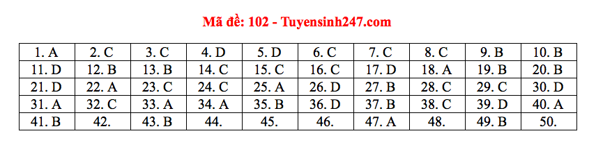 Giáo dục - Đáp án đề thi môn Toán thi THPT Quốc gia 2019 của bộ GD&ĐT mã đề 102 (Hình 6).