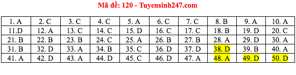 Giáo dục - Đáp án đề thi môn Toán thi THPT Quốc gia 2019 của bộ GD&ĐT mã đề 120 (Hình 6).