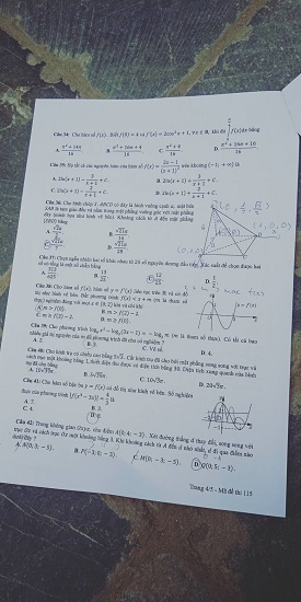 Giáo dục - Đáp án đề thi môn Toán thi THPT Quốc gia 2019 của bộ GD&ĐT mã đề 115 (Hình 4).