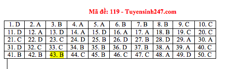 Giáo dục - Đáp án đề thi môn Toán thi THPT Quốc gia 2019 của bộ GD&ĐT mã đề 119 (Hình 6).