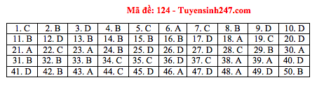 Giáo dục - Đáp án đề thi môn Toán thi THPT Quốc gia 2019 của bộ GD&ĐT mã đề 124 (Hình 6).