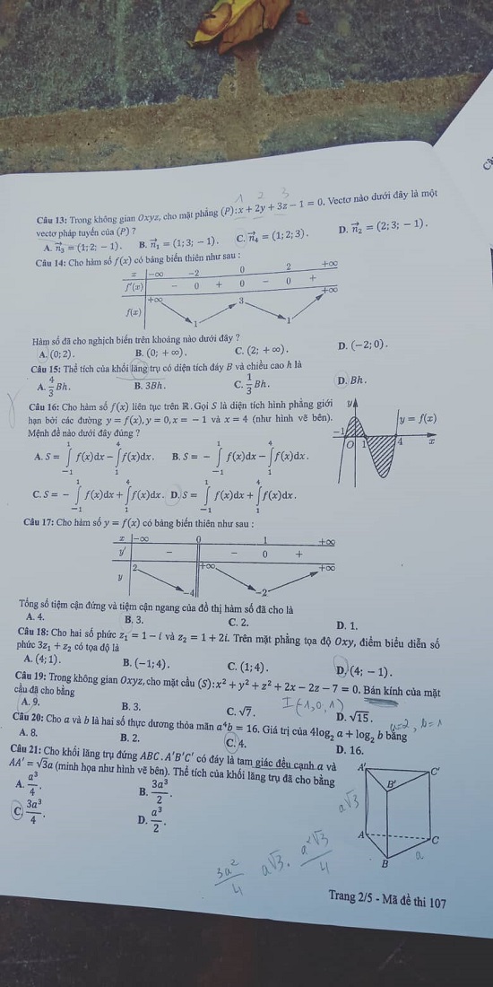 Giáo dục - Đáp án đề thi môn Toán thi THPT Quốc gia 2019 của bộ GD&ĐT mã đề 107 (Hình 2).