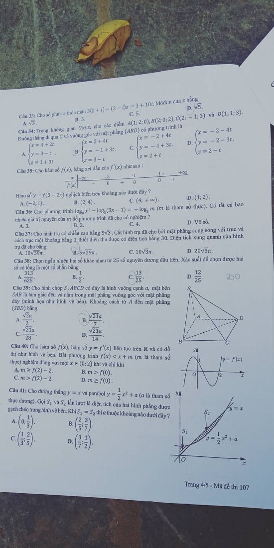 Giáo dục - Đáp án đề thi môn Toán thi THPT Quốc gia 2019 của bộ GD&ĐT mã đề 107 (Hình 4).