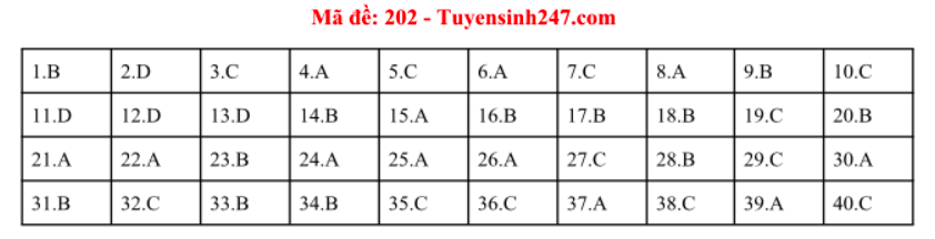 Giáo dục - Đáp án đề thi  môn Vật Lý thi THPT Quốc Gia 2019 chuẩn nhất mã đề 202