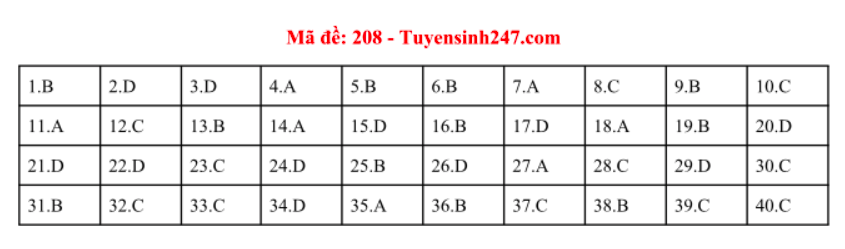 Giáo dục - Đáp án đề thi  môn Vật Lý thi THPT Quốc Gia 2019 chuẩn nhất mã đề 208