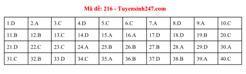 Giáo dục - Đáp án đề thi môn Vật Lý thi THPT Quốc Gia 2019 chuẩn nhất mã đề 216