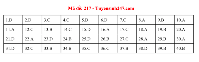 Giáo dục - Đáp án đề thi môn Vật Lý thi THPT Quốc Gia 2019 chuẩn nhất mã đề 217