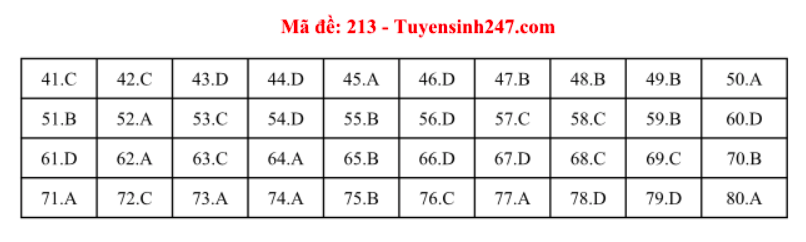 Giáo dục - Đáp án đề thi môn Hoá học mã đề 213 thi THPT Quốc gia 2019 chuẩn nhất 