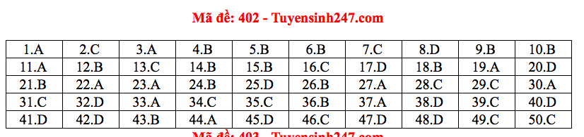 Giáo dục - Đáp án đề thi môn tiếng Anh mã đề 402 thi THPT Quốc gia 2019 của bộ GD&ĐT  (Hình 6).