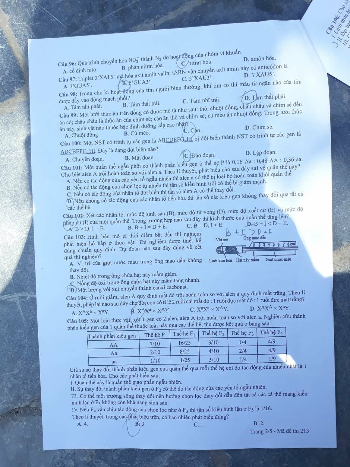 Giáo dục - Đáp án đề thi môn Sinh học mã đề 213 thi THPT Quốc gia 2019 chuẩn nhất (Hình 3).