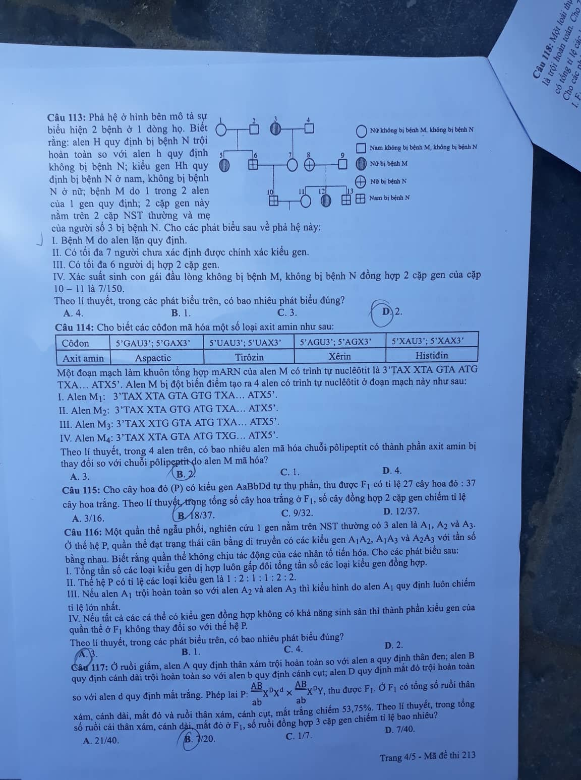 Giáo dục - Đáp án đề thi môn Sinh học mã đề 213 thi THPT Quốc gia 2019 chuẩn nhất (Hình 5).