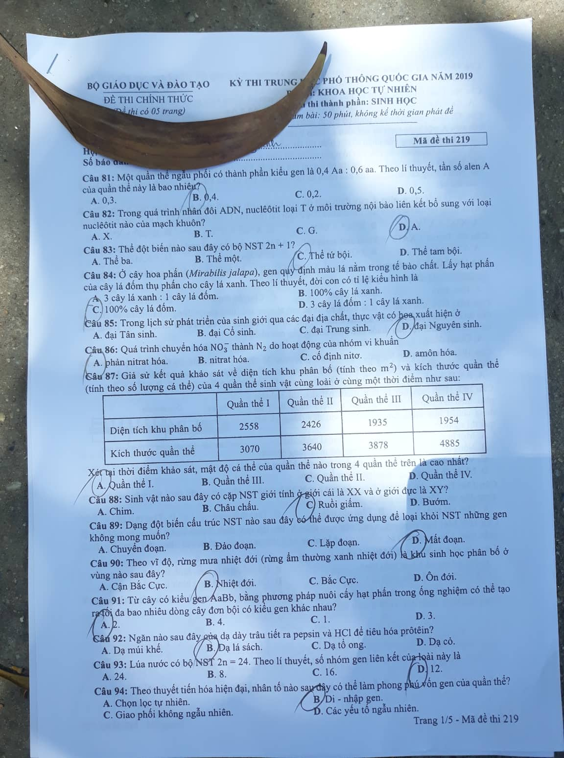 Giáo dục - Đáp án đề thi môn Sinh học mã đề 219 thi THPT Quốc gia 2019 chuẩn nhất (Hình 2).