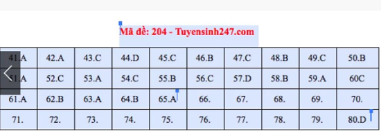 Giáo dục - Đáp án đề thi  môn Vật Lý thi THPT Quốc Gia 2019 chuẩn nhất mã đề 204