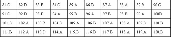 Giáo dục - Đáp án đề thi môn Vật Lý thi THPT Quốc Gia 2019 chuẩn nhất mã đề 214