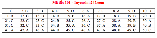 Giáo dục - Đáp án đề thi môn Toán tốt nghiệp THPT Quốc gia 2020 chuẩn nhất mã đề 101