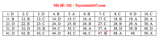 Giáo dục - Đáp án đề thi môn Toán tốt nghiệp THPT Quốc gia 2020 chuẩn nhất mã đề 102 (Hình 4).