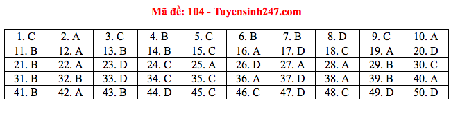 Giáo dục - Đáp án đề thi môn Toán tốt nghiệp THPT Quốc gia 2020 chuẩn nhất mã đề 104