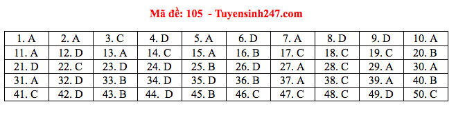 Giáo dục - Đáp án đề thi môn Toán tốt nghiệp THPT Quốc gia 2020 chuẩn nhất mã đề 105 (Hình 4).