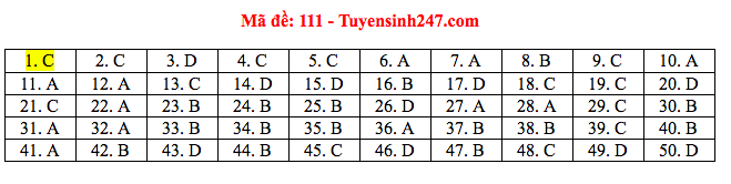 Giáo dục - Đáp án đề thi môn Toán tốt nghiệp THPT Quốc gia 2020 chuẩn nhất mã đề 111 (Hình 4).