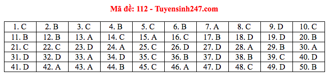 Giáo dục - Đáp án đề thi môn Toán tốt nghiệp THPT Quốc gia 2020 chuẩn nhất mã đề 112